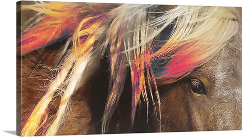 Color in Oz Canvas Print