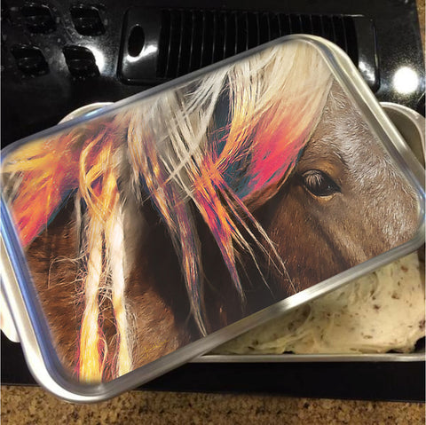 Color in Oz Cake Pan with Lid