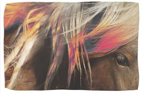 Color in Oz Kitchen Towel