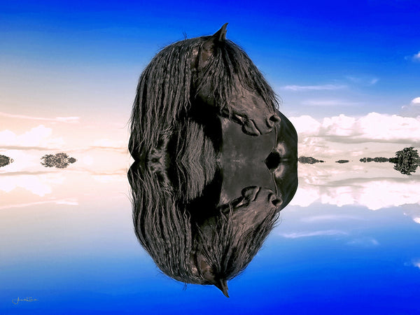 The Power in My Reflection Canvas Print