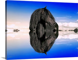 The Power in My Reflection Canvas Print
