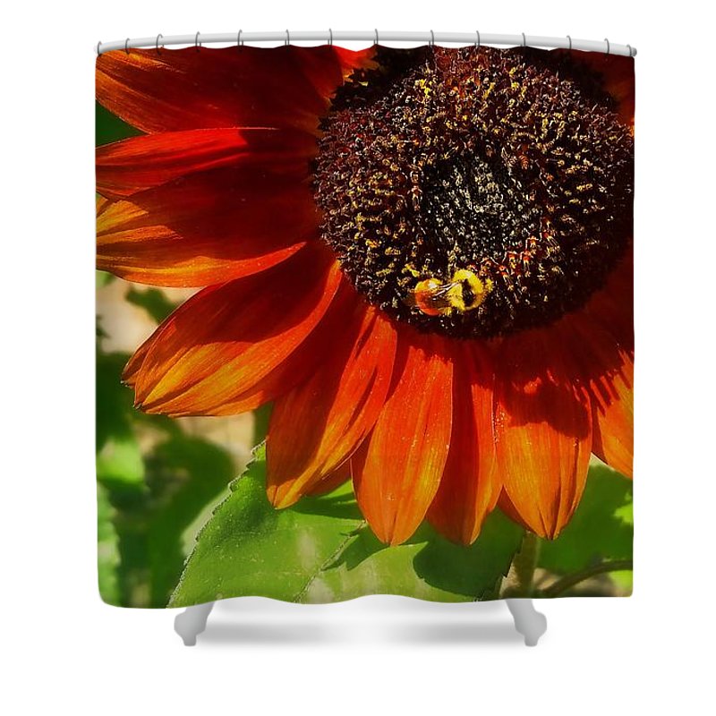 Autumn Sunflower and Bumble Bee Kitchen Towel