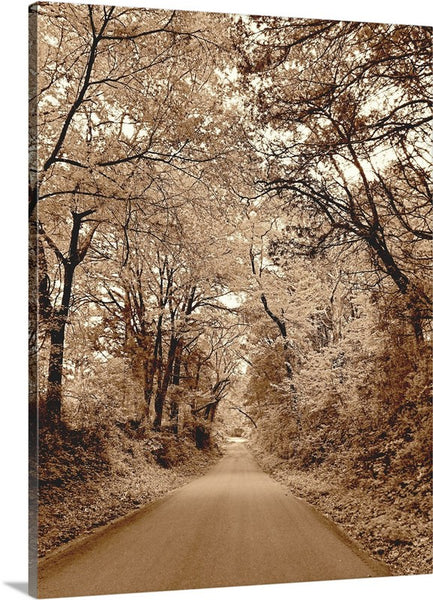 Texas Road Canvas Print