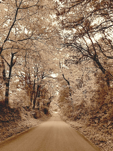 Texas Road Canvas Print