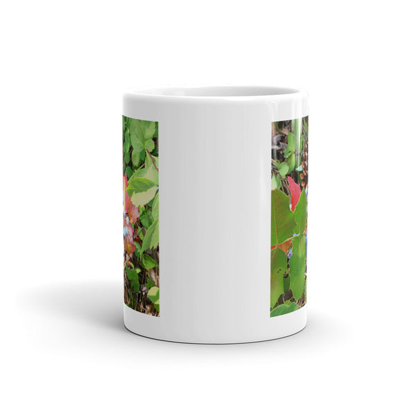 The Colors of Fall Mug