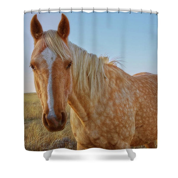 Raising Dapple Shower Curtain