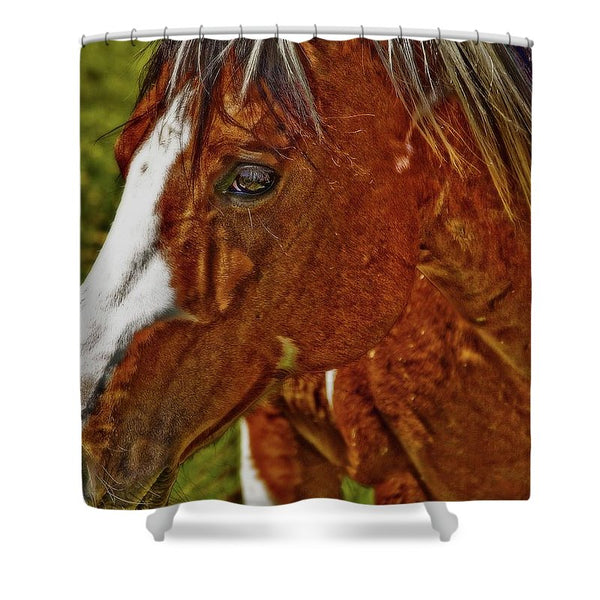 Summer Mare Shower Curtain